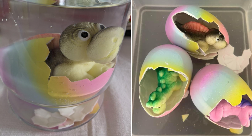 The egg simply needs to be submerged in water and it will hatch into a mystery creature a few days later. Photo: Facebook/Aldi Mums