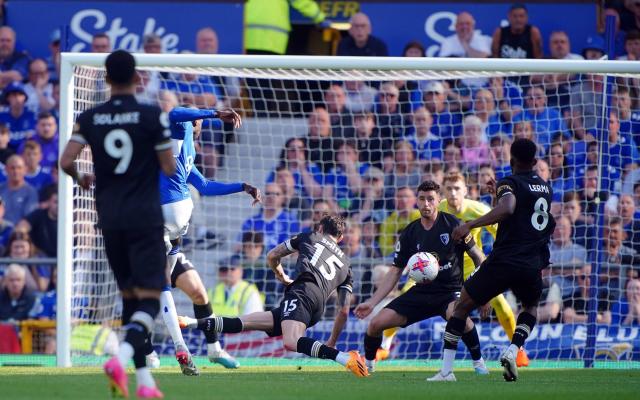 Abdoulaye Doucoure crashes home a drive that might secure Everton&#39;s PL status - PA