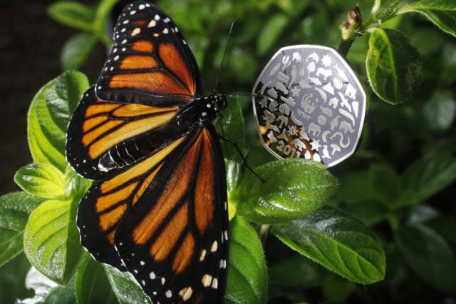 WWF anniversary coin