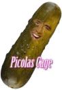 <p>Nicolas Cage Memes </p>