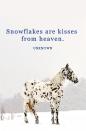 <p>"Snowflakes are kisses from heaven."</p>