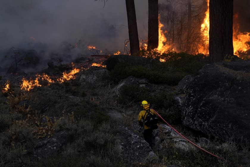 FILE - In this Sept. 2, 2021, file photo, a firefighter carries a water hose toward a spot fire from the Caldor Fire burning along Highway 89 near South Lake Tahoe, Calif. An unidentified firefighter has died of an illness while assigned to one of California's largest wildfires, authorities said Sunday, marking the first death in a season that has seen blazes destroy thousands of buildings and force entire towns to flee. Edwin Zuniga with the California Department of Forestry and Fire Protection said he couldn't provide other details on the death. (AP Photo/Jae C. Hong, File)