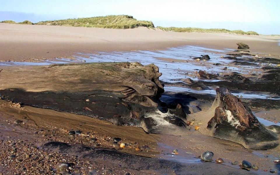 Permission to build an opencast pit at Druridge Bay has been denied - PA