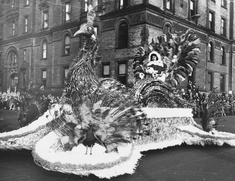 <p>A peacock float making its way through the 1961 parade.</p>