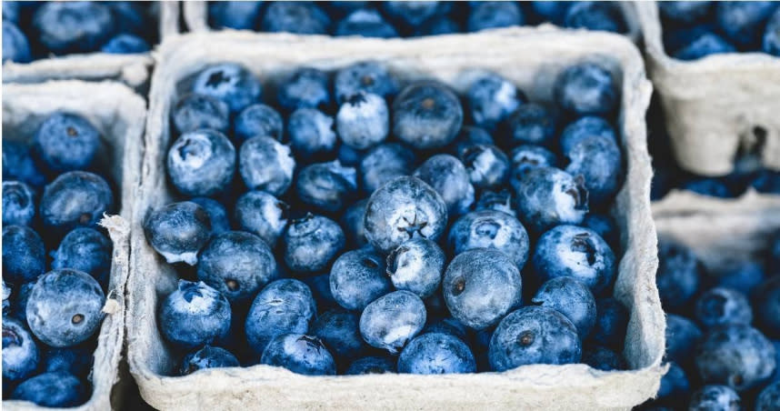 藍莓是非常有效的降血壓水果，更被營養學家譽為「超級水果」。（圖／pixabay）