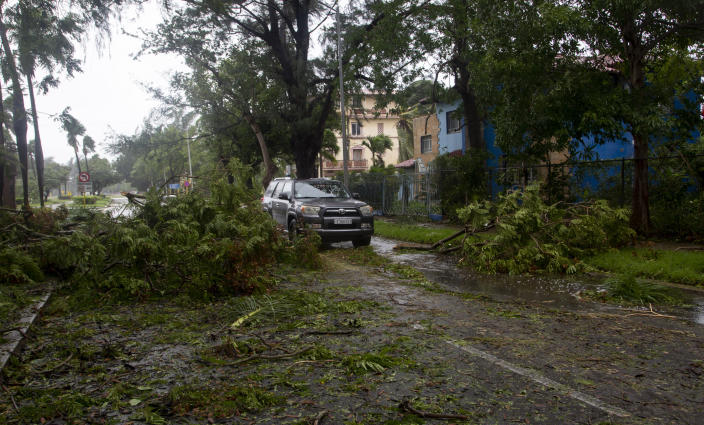 A vehicle weaves through fallen trees bought down by the winds of Hurricane Ian, in Havana, Cuba, Tuesday, Sept. 27, 2022. Ian made landfall at 4:30 a.m. EDT Tuesday in Cuba's Pinar del Rio province, where officials set up shelters, evacuated people, rushed in emergency personnel and took steps to protect crops in the nation's main tobacco-growing region. (AP Photo/Ismael Francisco)