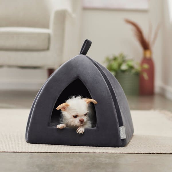 best dog beds frisco tent covered