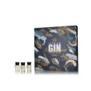 <p>The Spirit Co.</p><p><strong>£110.62</strong></p><p>Taste your way through 24 gins from distilleries around the world, both large and small. </p>