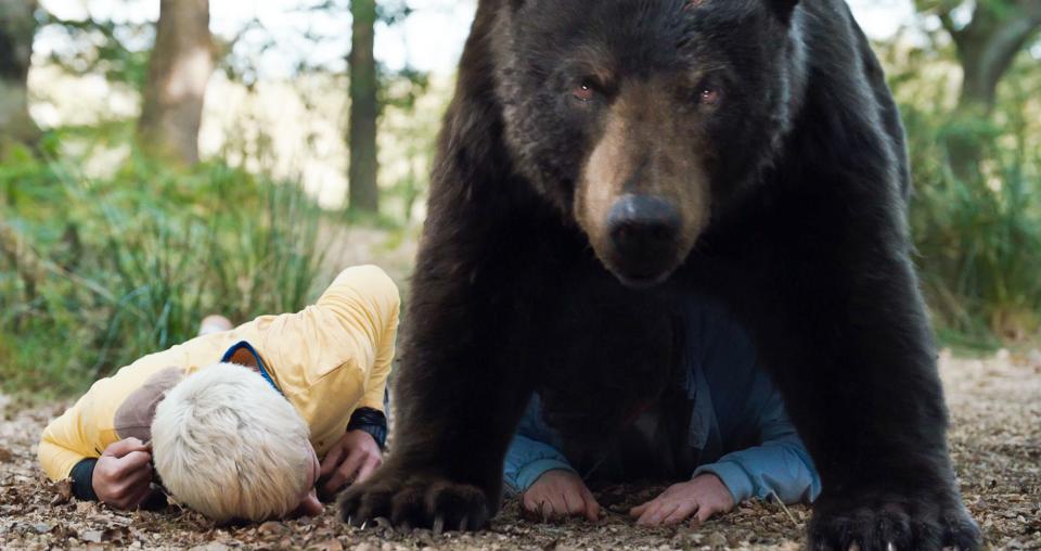 Cocaine Bear tells the tale of a drug-fuelled black bear that goes on a murderous rampage