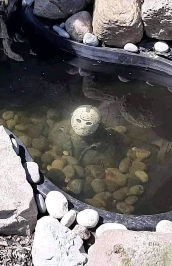 A Jason mask in a pond