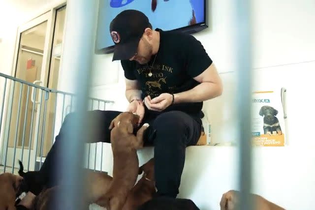 <p>Jinx</p> Chris Evans visiting adoptable dogs at Animal Haven in New York City