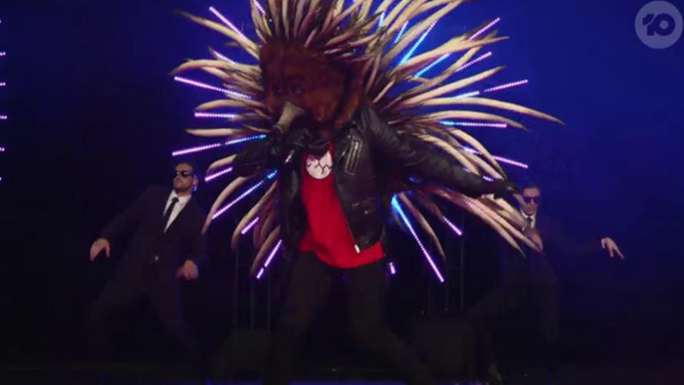 The Masked Singer's Echidna was the first to be revealed. Photo: Ten