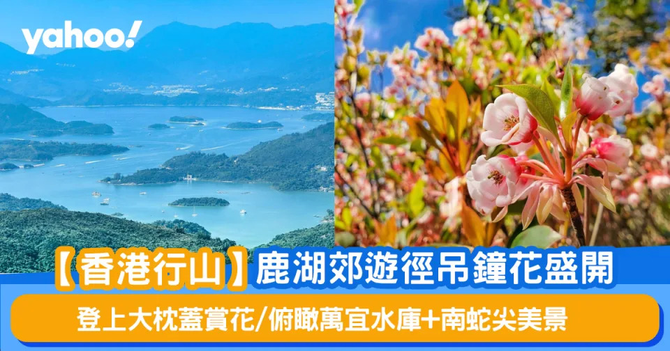 &#x003010;&#x00884c;&#x005c71;&#x008def;&#x007dda;&#x003011;&#x009e7f;&#x006e56;&#x0090ca;&#x00904a;&#x005f91;&#x00540a;&#x009418;&#x0082b1;&#x0076db;&#x00958b; &#x00767b;&#x004e0a;&#x005927;&#x006795;&#x0084cb;&#x008cde;&#x0082b1;/&#x004fef;&#x0077b0;&#x00842c;&#x005b9c;&#x006c34;&#x005eab;+&#x005357;&#x0086c7;&#x005c16;&#x007f8e;&#x00666f;