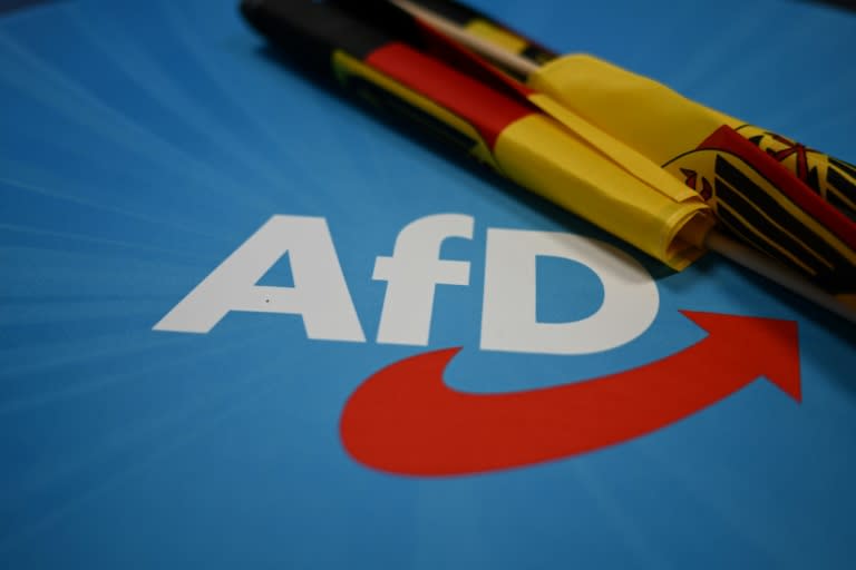 Die AfD hat am Sonntag in Essen ihren Bundesparteitag fortgesetzt. (RALF HIRSCHBERGER)