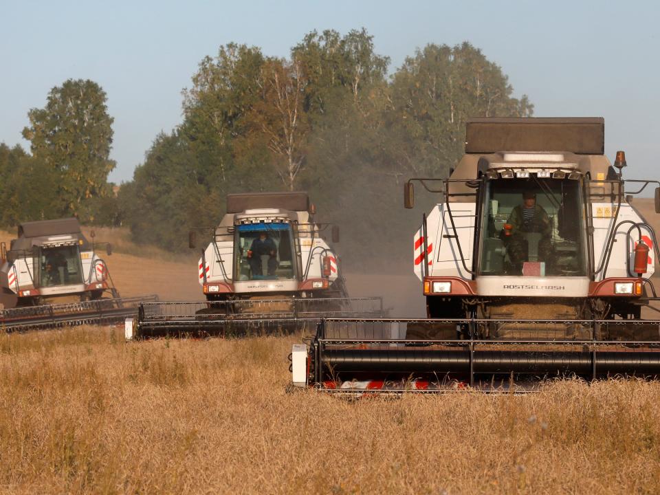 Combines harvest wheat in a field owned by the "Siberia" farming company outside the village of Ogur in Krasnoyarsk Region, Russia September 8, 2019.