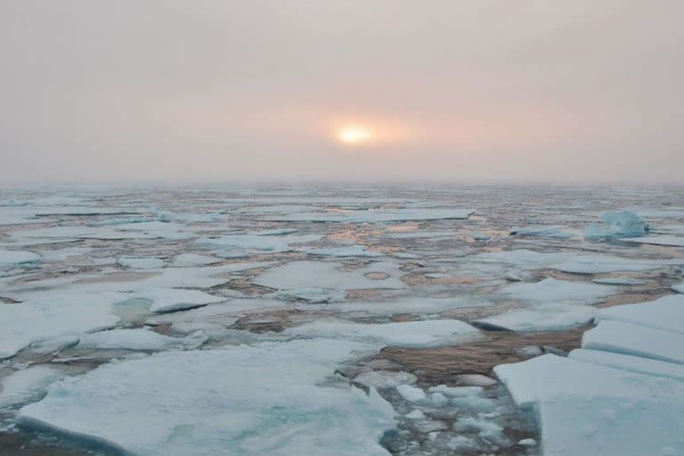 El hielo del Ártico podría derretirse por completo durante el mes de septiembre en las próximas décadas.  WOODS HOLE OCEANOGRAPHIC INSTITUTION