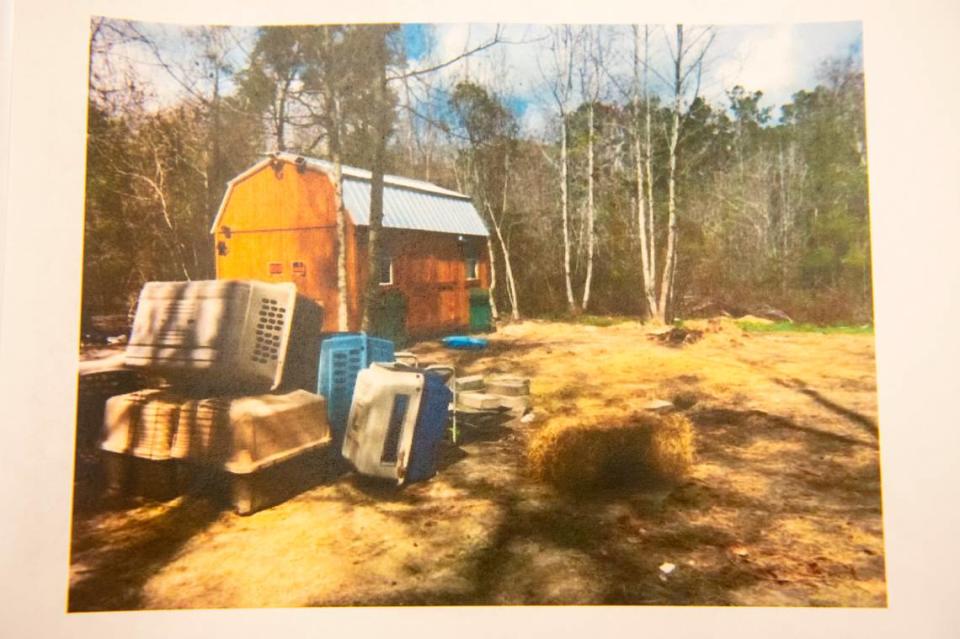 A photo taken by a Harrison County Sheriff’s Department Animal Control officer shows the shed where Jessica Collins kept several dead dogs in Saucier. Collins pleaded no contest to 10 counts of simple animal cruelty to a domesticated dog at Harrison County Justice Court in Gulfport on Friday, Aug. 11, 2023.