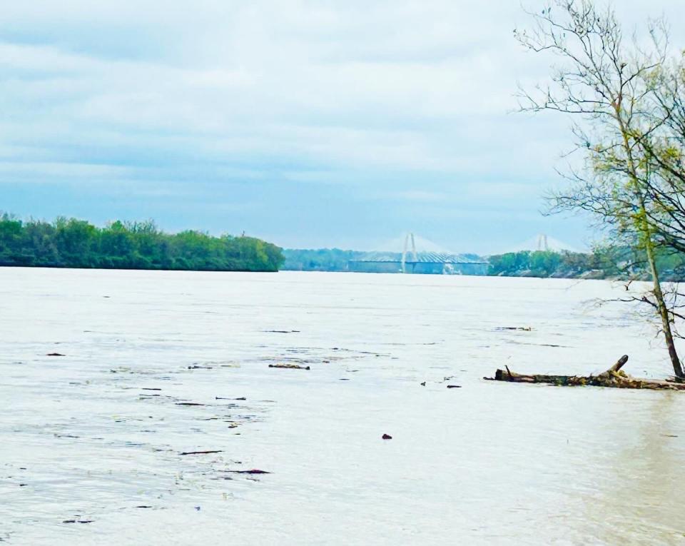 A view of the Ohio River from Charlestown State Park.