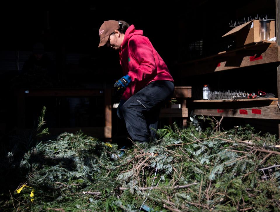 Part owner of Mystic farm, Christiane Plumier gets supplies together for wreaths, at Mystic Farm, in Greenville, ,Monday, November 30, 2021. 