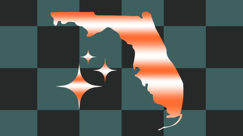 The state of Florida on a checkered background