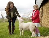 <p>Kate met an adorable lamb during a visit to Manor Farm in Little Stainton.</p>