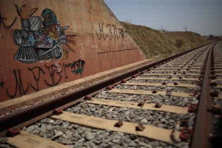 A stretch of Brazil's uncompleted North-South Railroad is pictured in Anapolis City September 26, 2013. REUTERS/Ueslei Marcelino