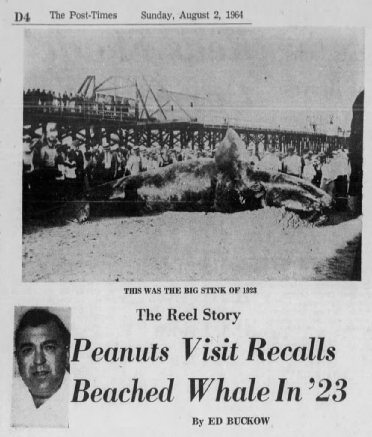 This 1964 article recounted the time a beached whale died on Palm Beach in 1923.