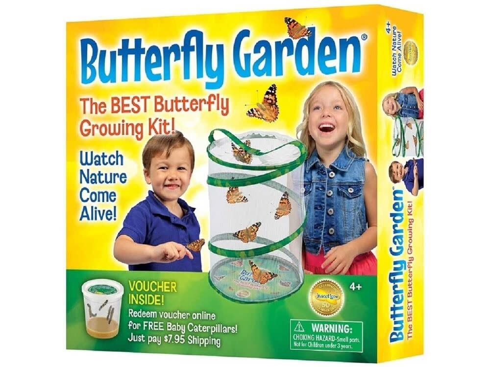 BH Butterfly Growing Kit - With Voucher to Redeem Caterpillars Later