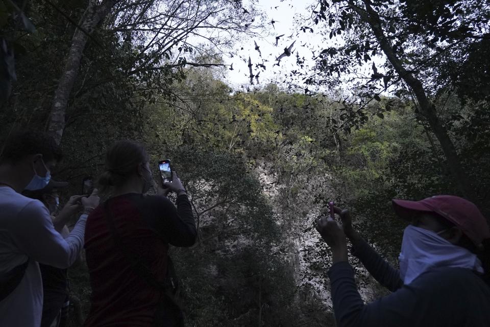 Bats come out of the Volcan de los Murcielagos, a cave that is home to three million bats, in the Balam-Ku reserve, in the Yucatan Peninsula of Mexico on Wednesday, Jan. 11, 2023. One version of the Maya Train plan had the tracks passing less than a half mile from the bat cave. (AP Photo/Marco Ugarte)