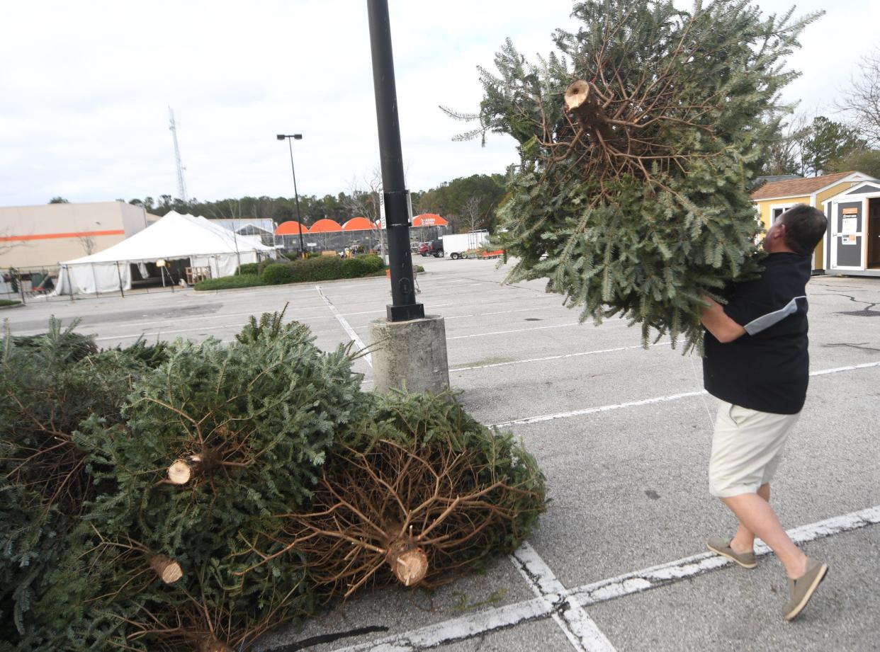 Find out where to recycle your live Christmas tree in Wilmington after the holidays.