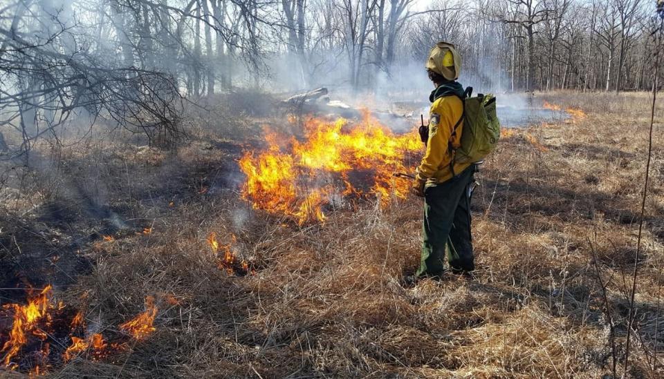 Controlled burns coming to Kings Mountain National Military Park.