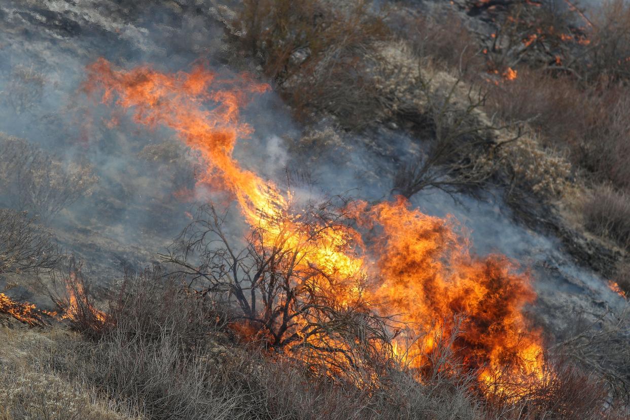 The Fairview Fire in a remote area south of Hwy 74 in the Cleveland National Forest, Sept. 8, 2022.