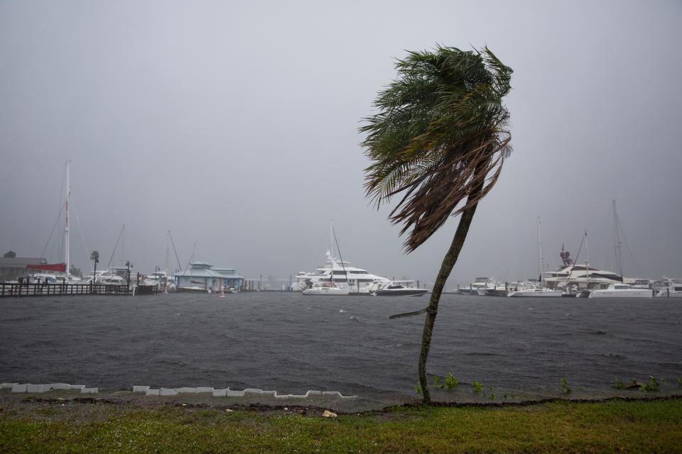 Wind gusts exceeding 40 mph blow through Naples as Hurricane Eta moves through the Gulf of Mexico on Wednesday, November 11, 2020.