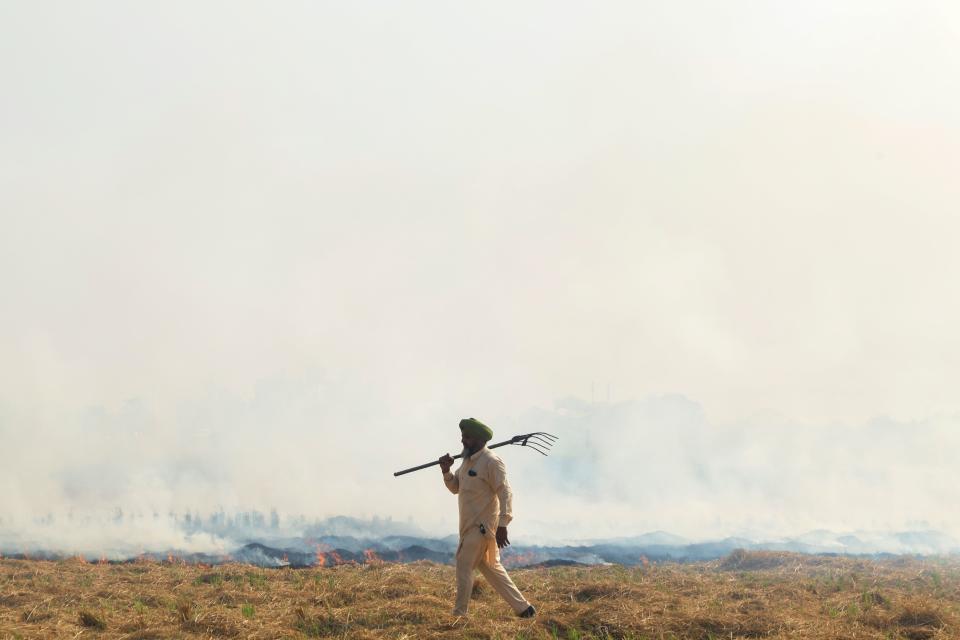 A farmer walks next to burning straw stubble after harvesting a paddy crop in a field on the outskirts of Amritsar on October 11, 2020. (Photo by NARINDER NANU / AFP) (Photo by NARINDER NANU/AFP via Getty Images)