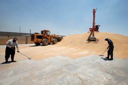 Iraqi workers sweep wheat grain at a grain silo in Mosul