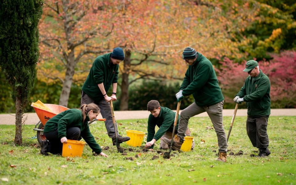 Burning wood from forests for energy could be worse for the climate than coal, the government has been warned, after the practice was recommended by its net zero advisory body.  - Christopher Pledger