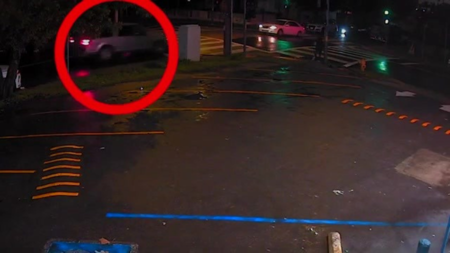 New video posted by the LAPD shows a hit-and-run crash that took place on Jan. 22, 2024. (LAPD)