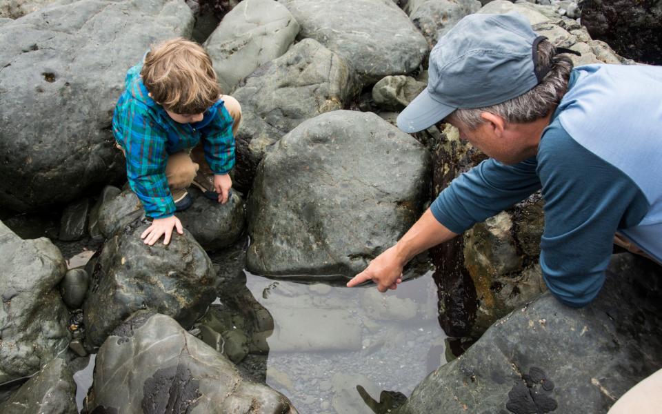 Man points out sea creatures to toddler in a rocky tidepool