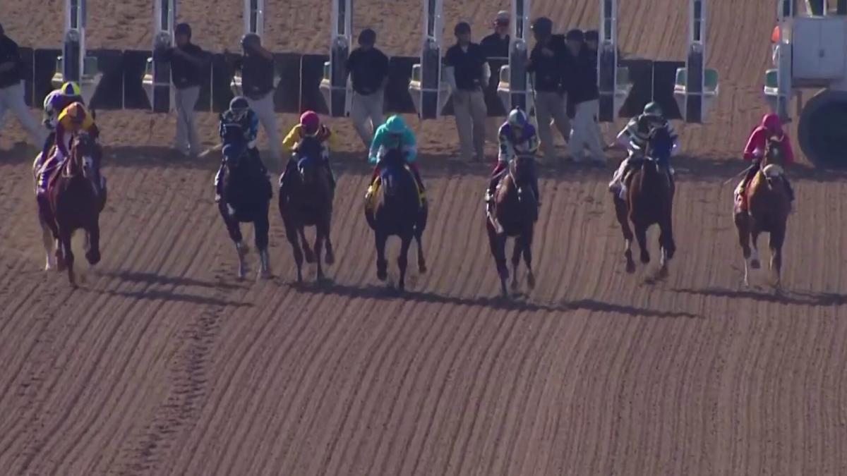 Santa Anita Park Achieves 99.97% Safety Record for 2023-24 Season