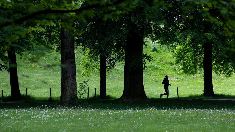 Ein Jogger ist im Englischen Garten in München unterwegs. Bewegung liegt in der Natur des Menschen - von Anfang an.