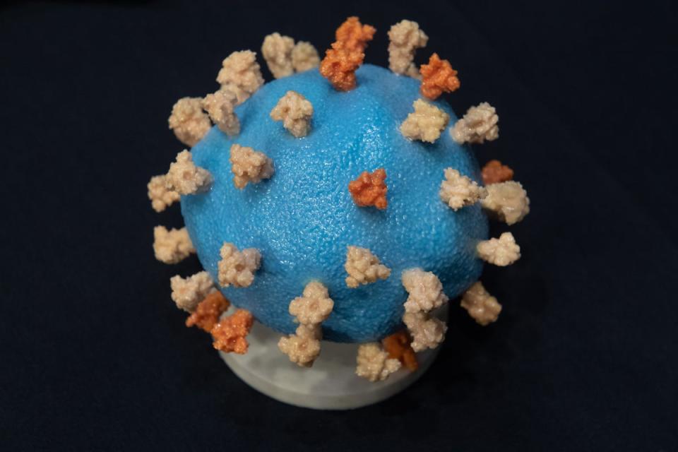 Model of Covid coronavirus (Getty)