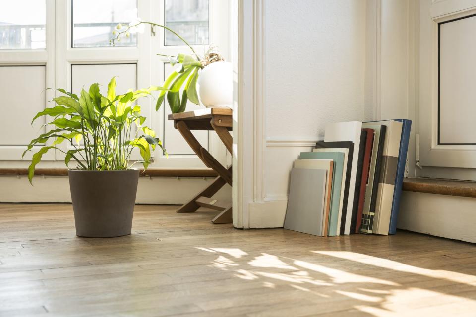 14 Online Plant Retailers That Will Become Your Go-Tos for Greenery