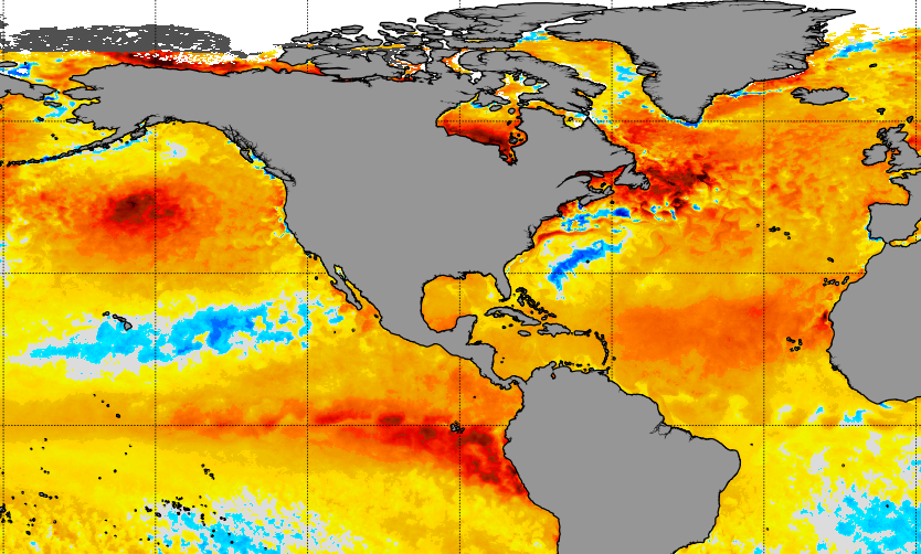 This NOAA graphic, based on satellite images, shows the much warmer than normal waters in the Atlantic Ocean and elsewhere. It also shows a swath of blue where Hurricane Franklin brought cooler ocean temperatures.