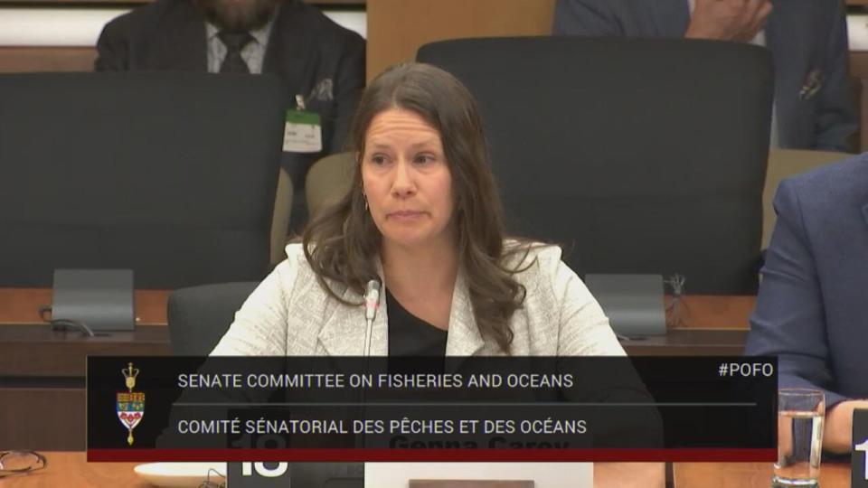 Genna Carey, a commercial licence holder speaks on behalf of the Canadian Committee for a Sustainable Eel Fishery, an industry group.