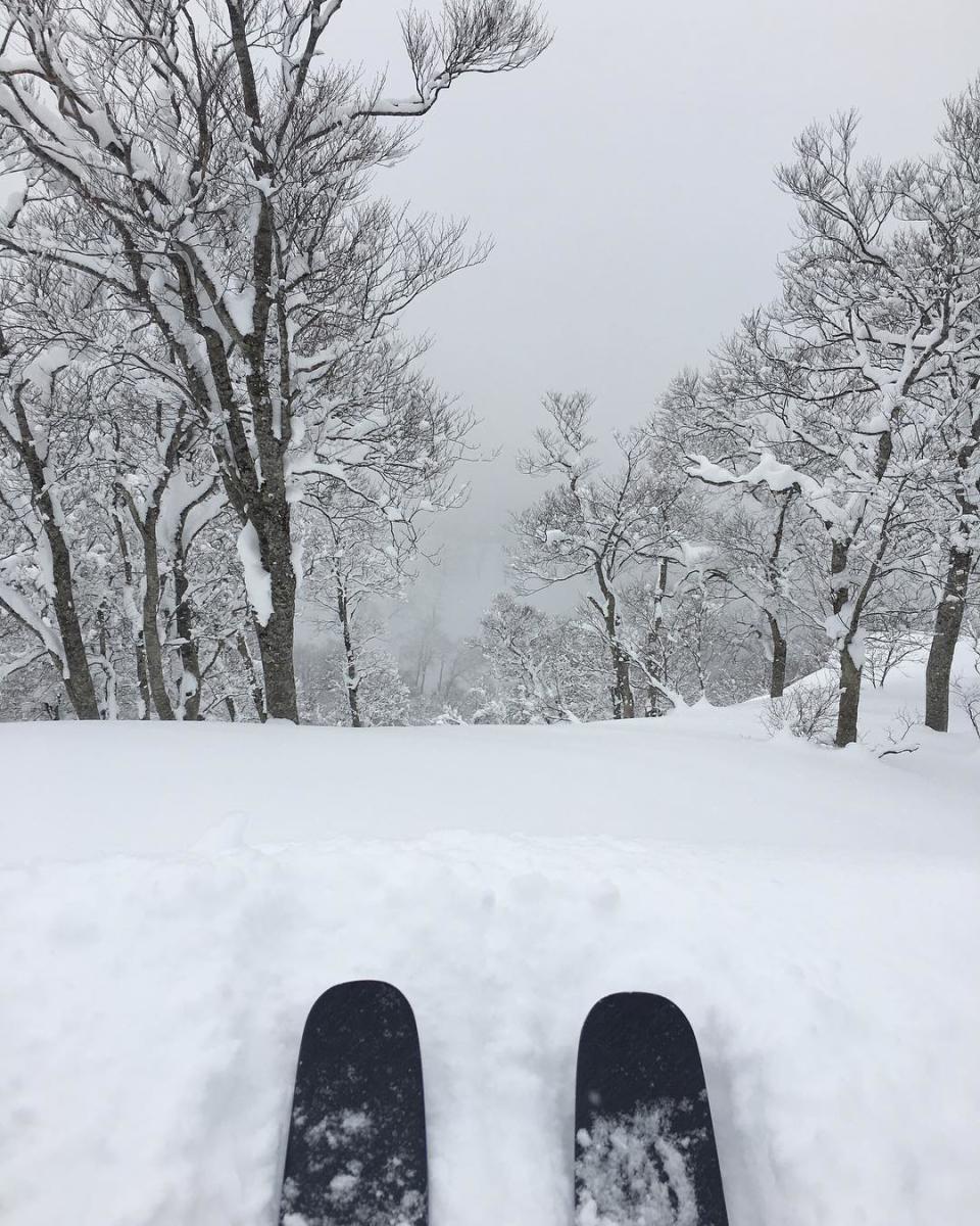 <p>ted_ligety: Bottomless reinvigoration. #lostmyraceskis #foundmypowderskis #japow (Photo via Instagram/ted_ligety) </p>