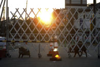 FILE - Boars roam near a barricade set up to restrict the entry to difficult-to-return zones in Futaba, near the tsunami-crippled Fukushima Dai-ichi nuclear plant, Fukushima prefecture, Japan, on March 11, 2017. Japan on Monday, March 11, 2024, marked 13 years since a massive earthquake and tsunami hit the country’s northern coasts. (Kota Endo/Kyodo News via AP, File)