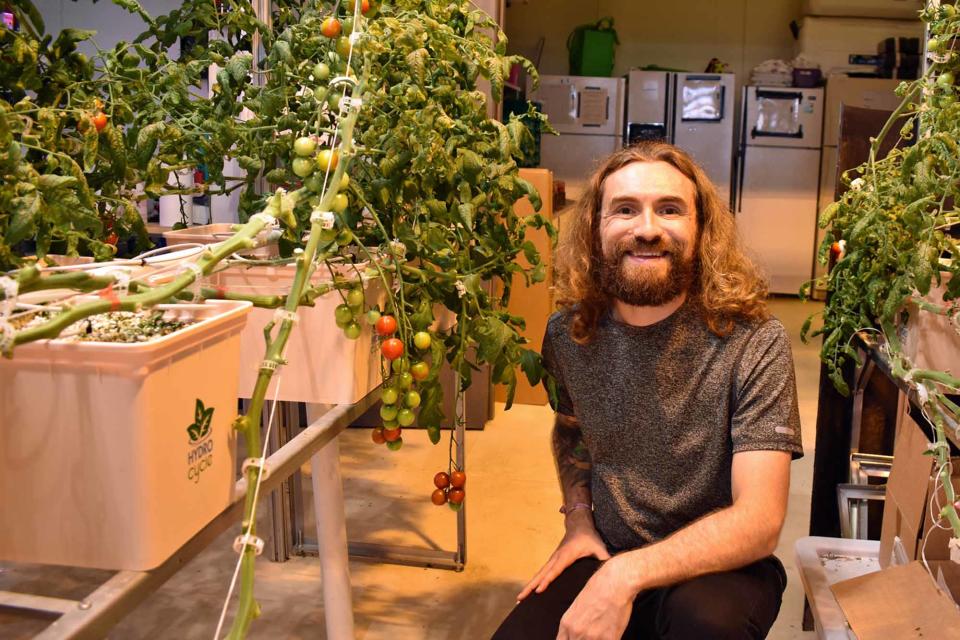 Clayton Farms cofounder and chief farmer Clayton Mooney poses by tomatoes at the indoor farm in Ames. There's a wait list for tomatoes, which are one of the most popular items for subscribers to Clayton Farms' pesticide-free, fresh-produce delivery.