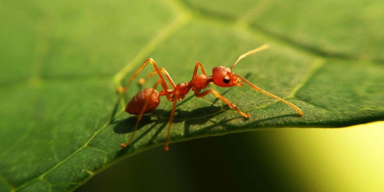 Photo credit: Satrio Adi / EyeEm - Getty Images