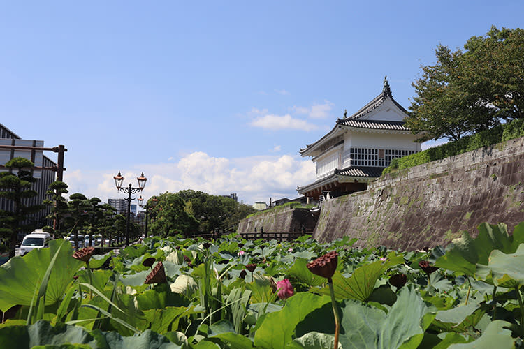 1601年江戶時代是薩摩藩藩主島津氏的居城