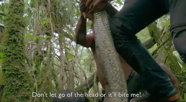 The size of the snake overwhelmed the reporter. Source: BBC Two.